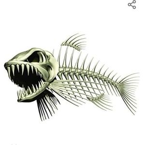 Meet your Posher, Randy